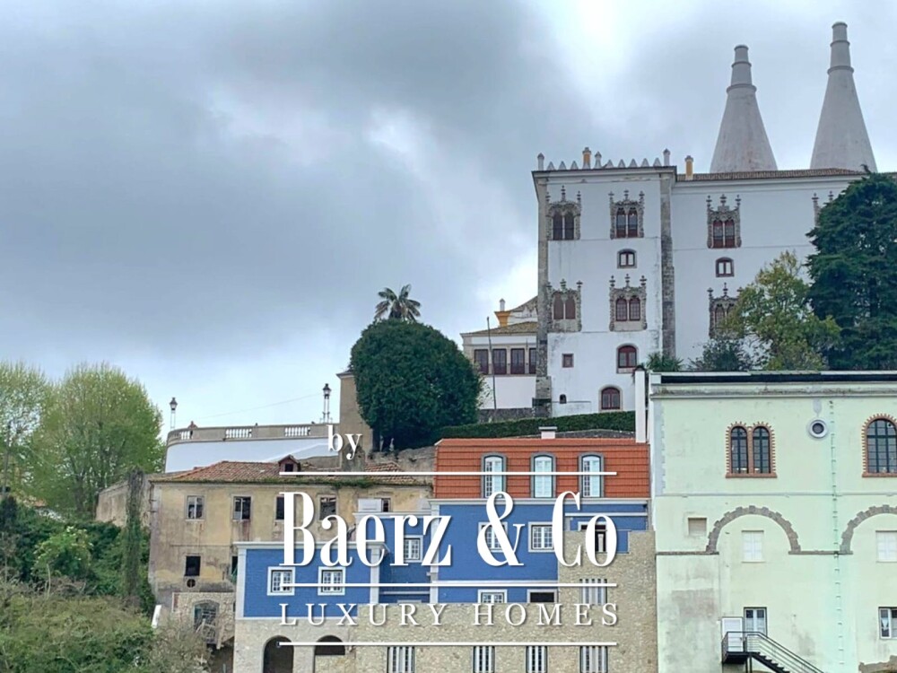 Foto 19 1000w