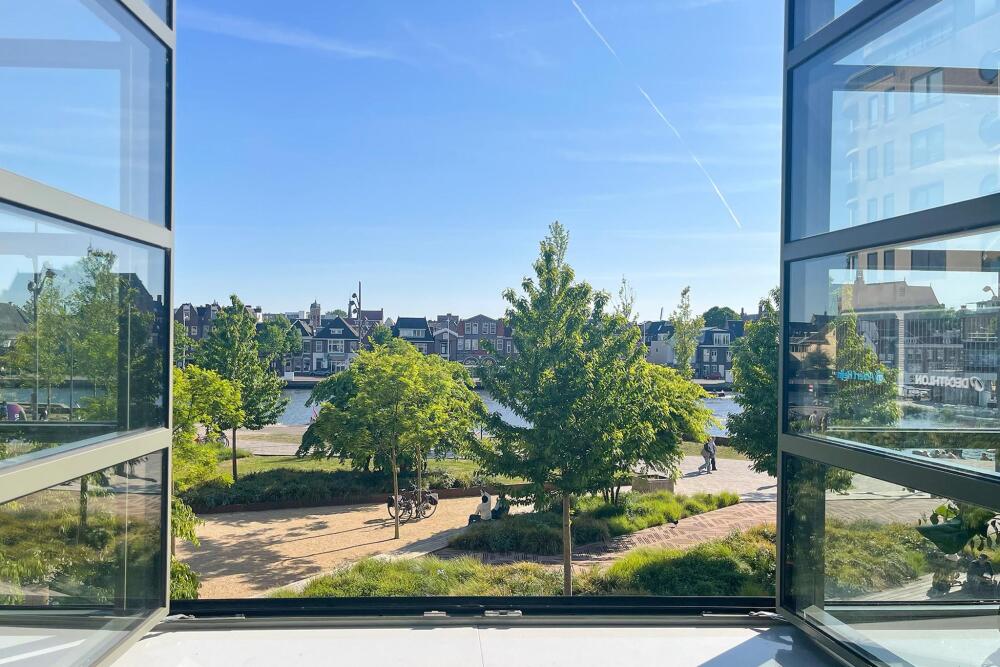 Foto 17 1000w