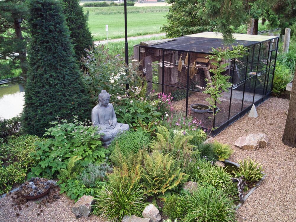 Foto 66 1000w