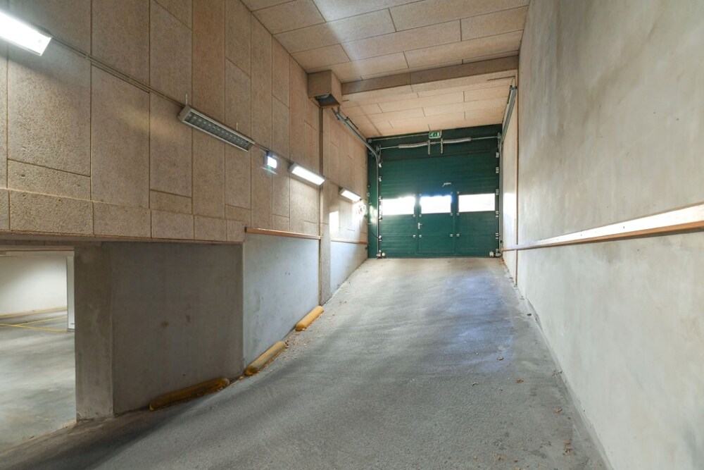 Foto 41 1000w