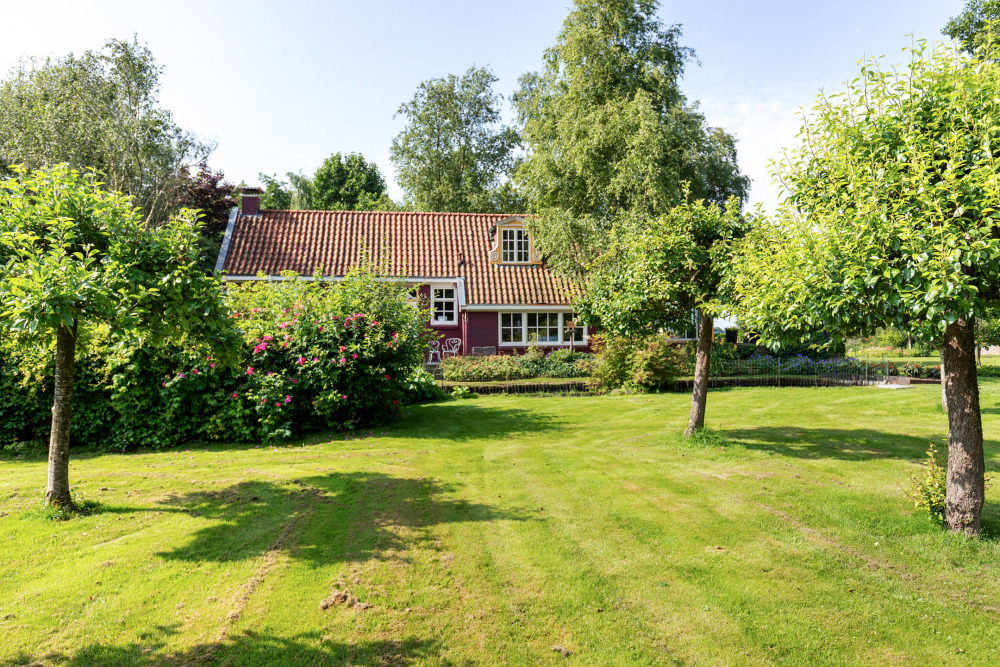 Foto 17 1000w