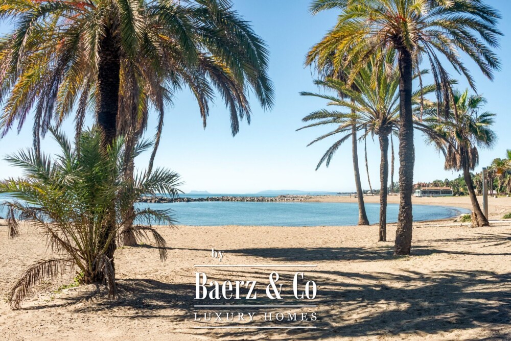 Foto 8 1000w