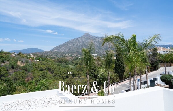 photo 113 Villas - Golden Mile - Marbella - Ref: 7728