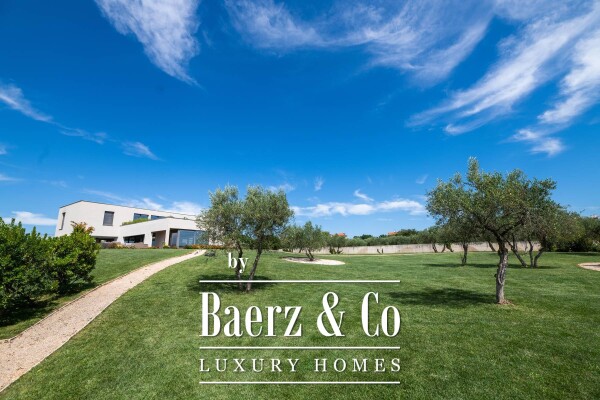 photo 77 Croatia, Istria, Umag: Stunning Villa with pool surrounded by olive groves