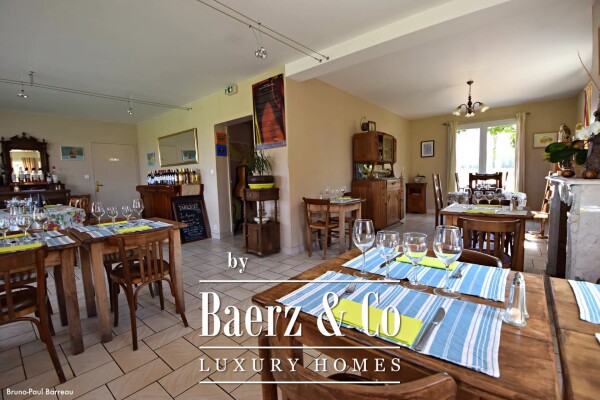 photo 16 WINE CHATEAU, BORDEAUX, SAUTERNES, UNIQUE PANORAMIC VIEW