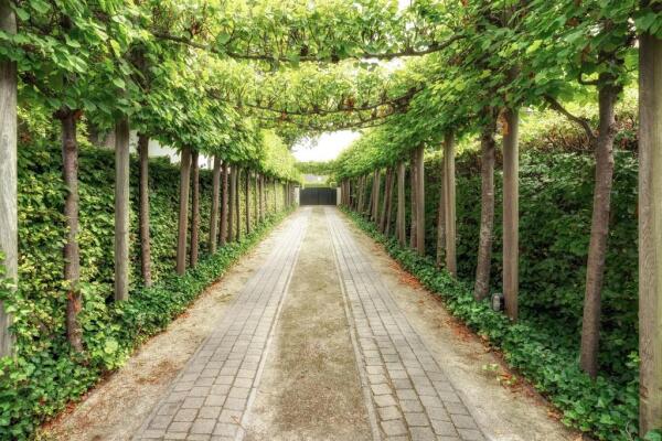 photo 83 Zuideinde 36