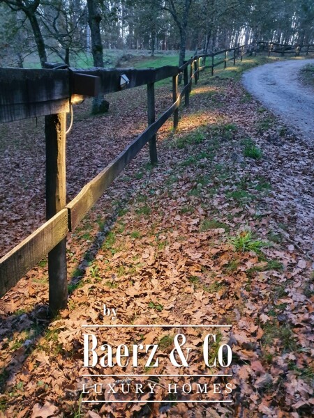 photo 4 Magnificent farm