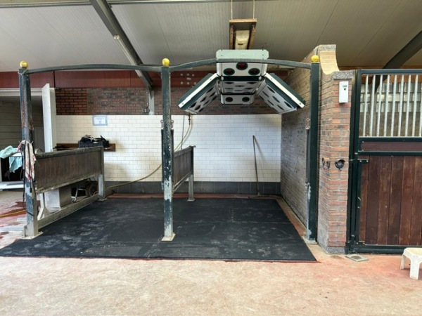 photo 31 Waatselaarstraat 3