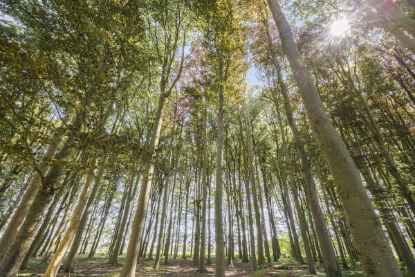 photo 67 Lage Lochemseweg 31 a