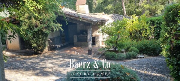 photo 11 Estate - over 6 ha of land with olive trees