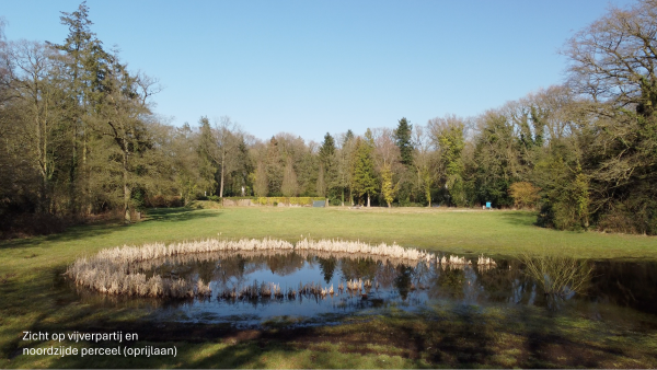 photo 5 Bastinglaan 20 0 ong