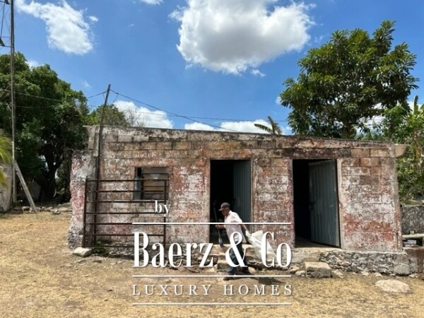 photo 9 Sudzal carretera a Tzalam, Km 7 