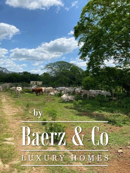 photo 18 Street 24 x 29 