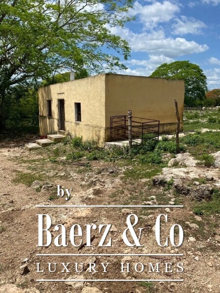 photo 8 Street 24 x 29 