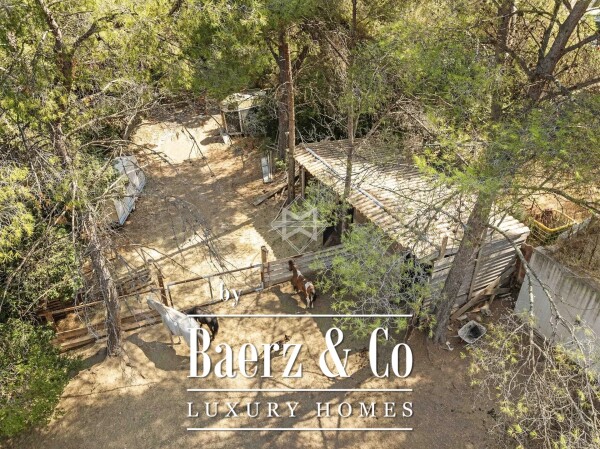 photo 19 Exceptional Villa in a Natural Setting Between Vineyards and Forest, Just 10 Minutes from the Beaches