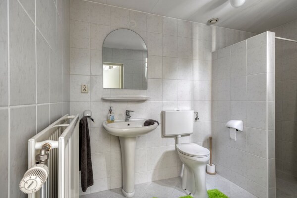 photo 27 Bilzekruid 11