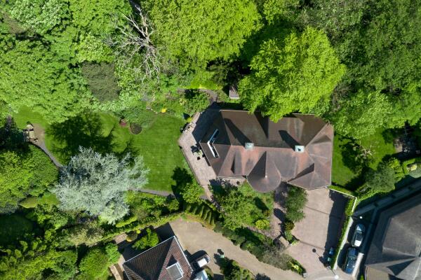 photo 6 Leonard Springerhof 4