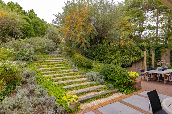 photo 74 Dennenweg 8
