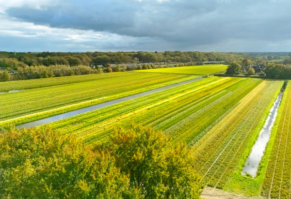 photo 74 Bekslaan 58