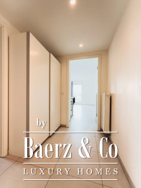 photo 9 Magnificent apparently in Mamer