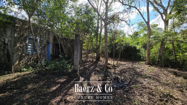 photo 15 Sagrado - Valladolid 