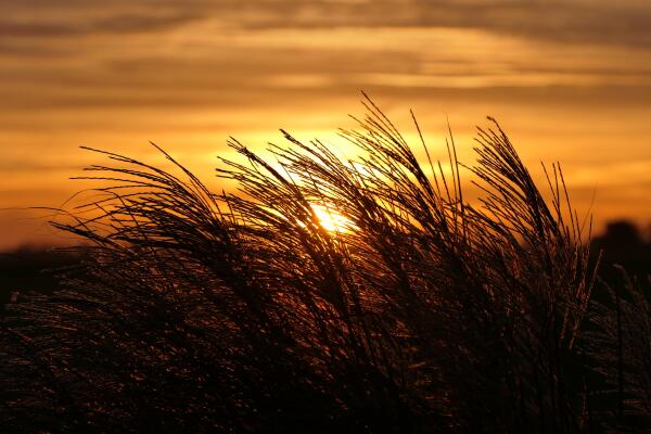 photo 67 Westmeep 61