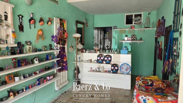 photo 11 Calle 50A 493A