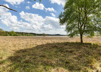 WIJNJEWOUDE